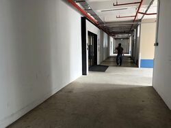Perfect One (D13), Factory #557089191